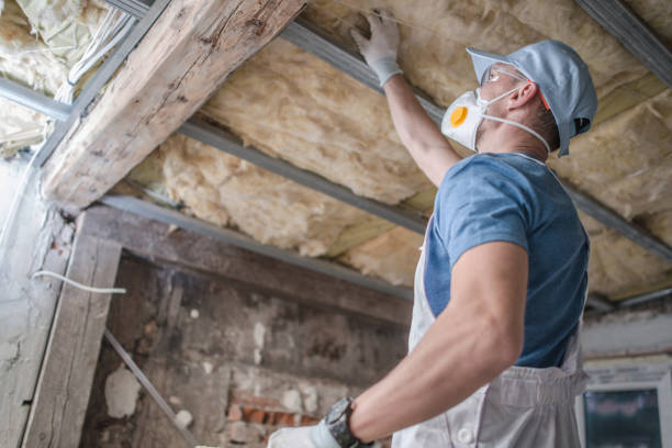 Best Insulation Materials and Products in Pocahontas, AR