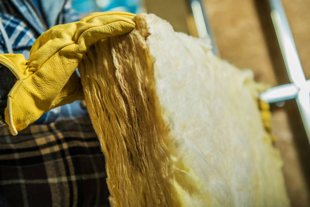 Best Insulation Maintenance and Repair in Pocahontas, AR